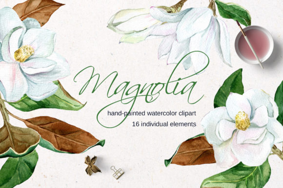 Download White Watercolor Magnolia Flower Clipart - White watercolor Collection