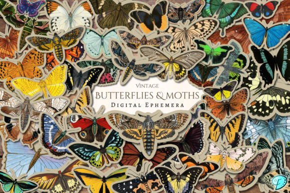 Download Vintage Butterflies and Moths Ephemera - Premium Resources