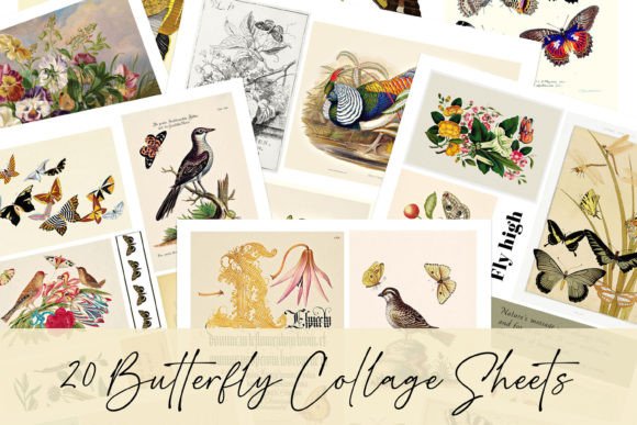 Download Vintage Butterfly Ephemera Collages - Ephemera Collection