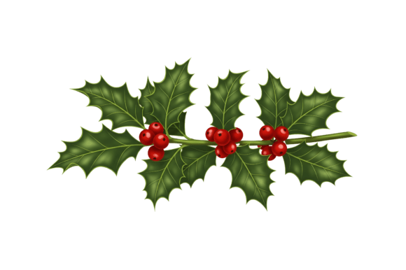 Download Traditional Christmas Holly - Premium Resources