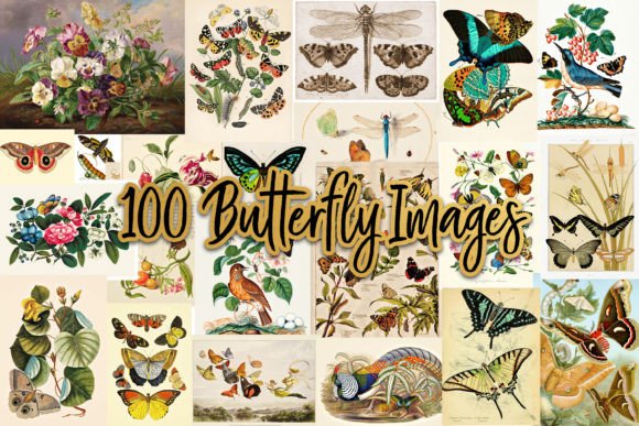 Download 100 Vintage Victorian Butterfly Ephemera - Ephemera Collection